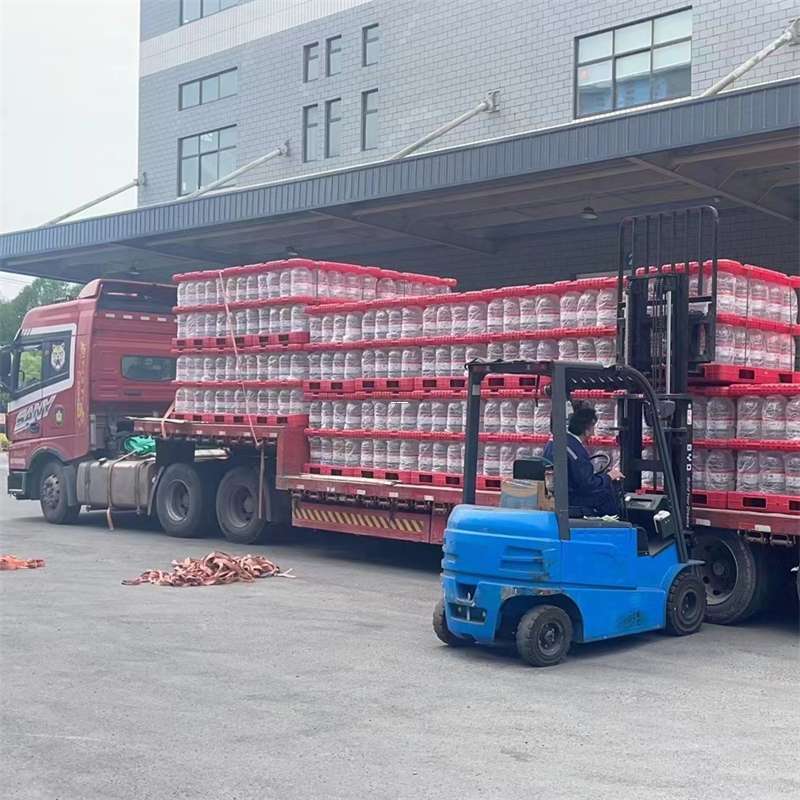 荔湾区延平区物流：多元运输服务的魅力探索