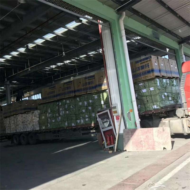 荔湾区探索多元化物流服务与运输线路奥秘