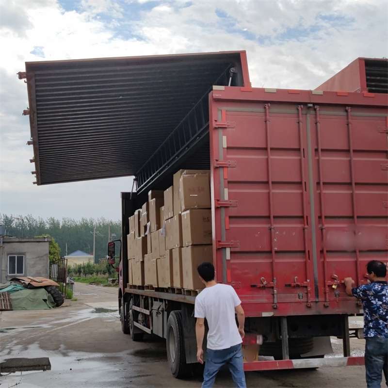 荔湾区扎囊县：物流专线的高效货运之旅